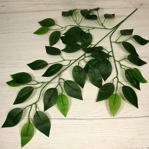 Vetva ficus x3  S22